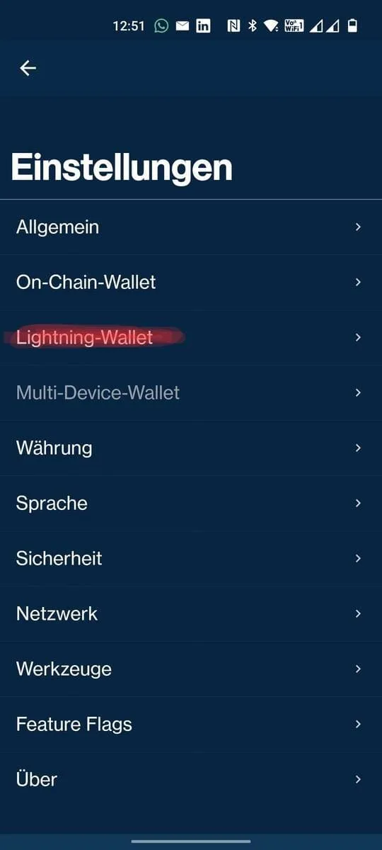 dfx-btc-taro-lightning-einstellungen
